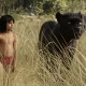 ‘The Jungle Book’ review – Perfect blend of old and new…