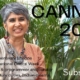 Cannes 2023 – Critic Meenakshi Shedde on jury duties, Indian films and British ‘Polite Society’… (video interview)